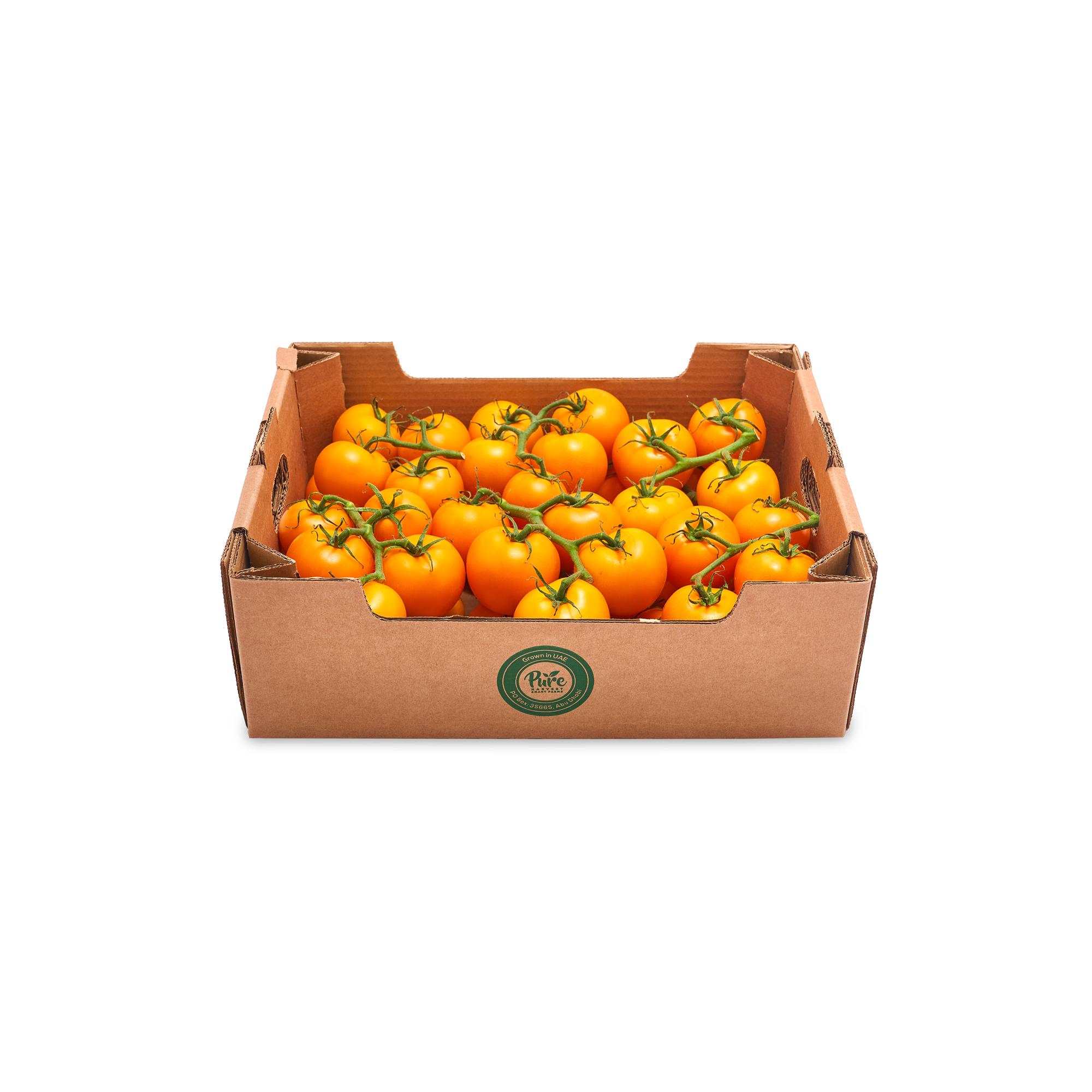 Orange Tomatoes on-the-vine